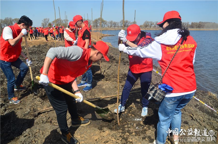 开元（中国）-开元（中国）圆满完成“保护青山绿水_共建大美龙江”千人公益植树志愿服务工作